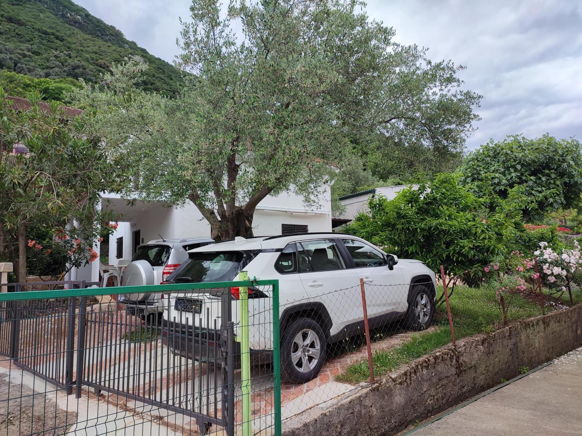 Holiday House In The Kotor Bay ภายนอก รูปภาพ