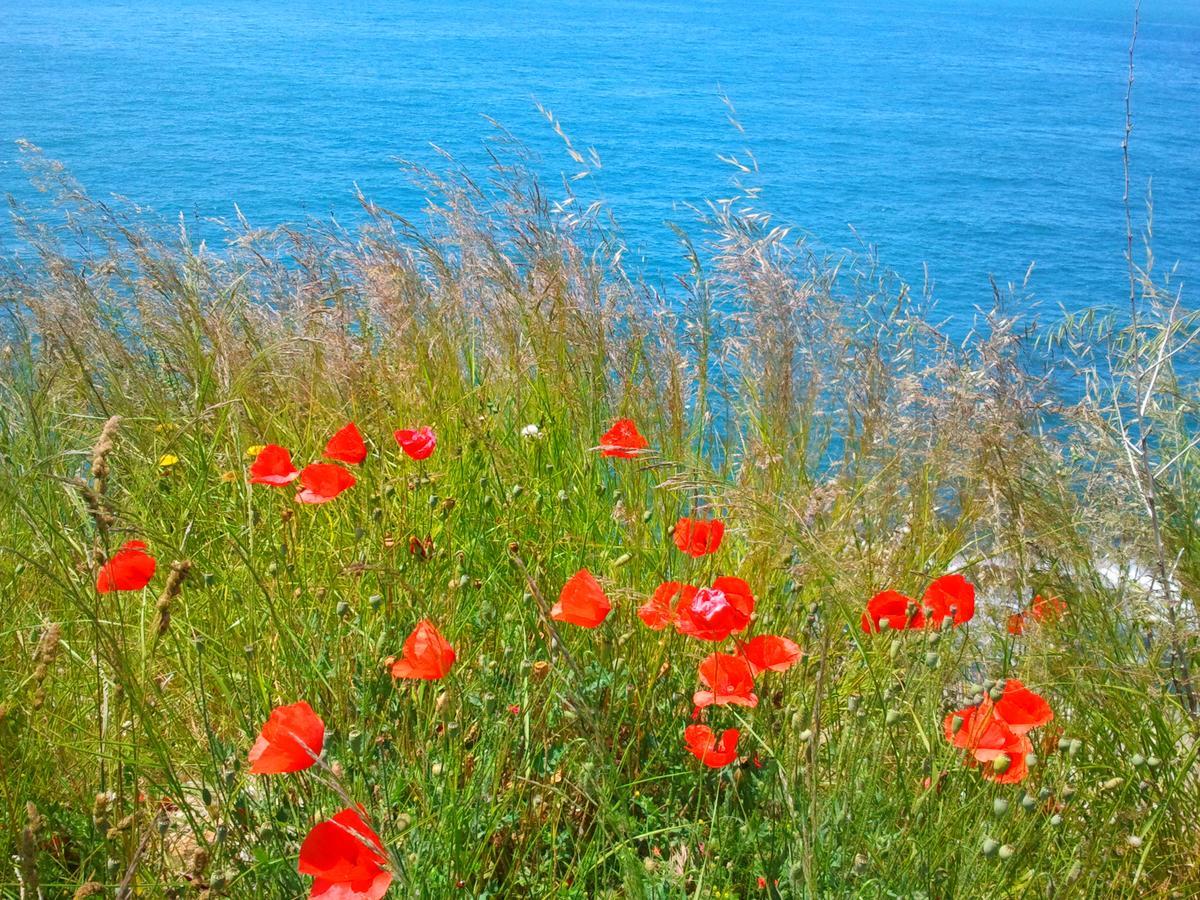 Holiday House In The Kotor Bay ภายนอก รูปภาพ
